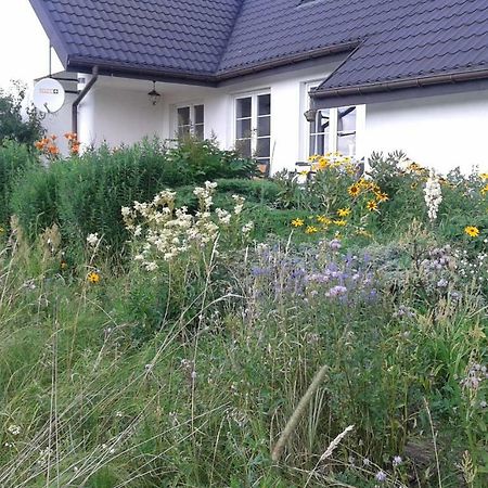 Bizon Guest House Sadowne Eksteriør bilde