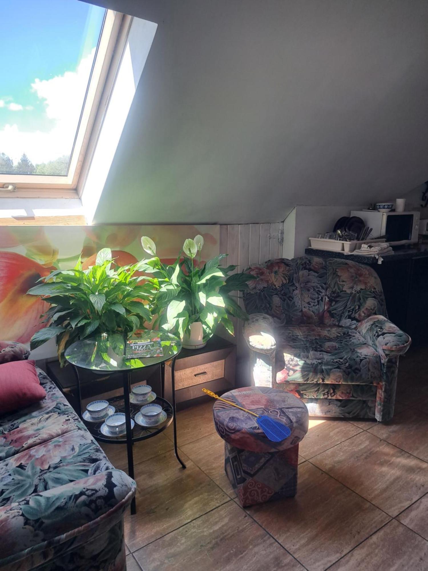 Bizon Guest House Sadowne Eksteriør bilde