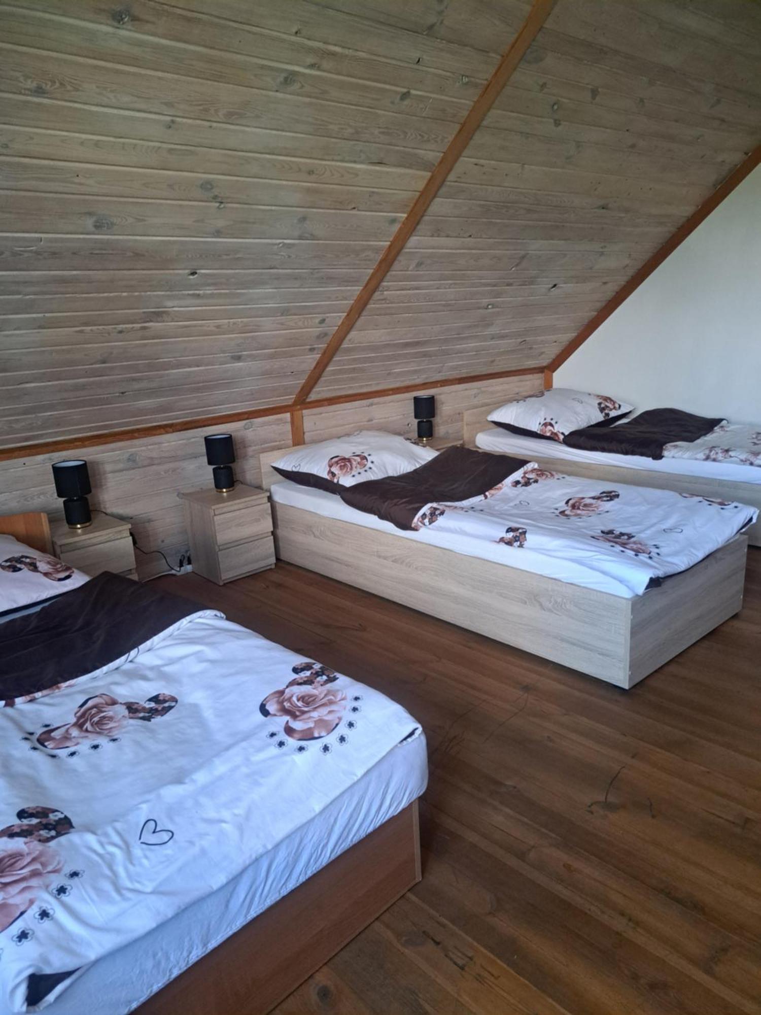 Bizon Guest House Sadowne Eksteriør bilde